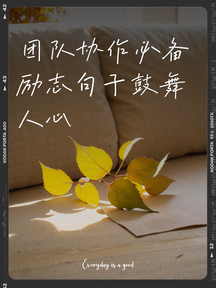 关于团队协作更加紧密，整体效率提升的信息